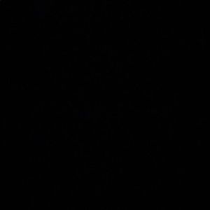 Meet your Posher, Katelyn